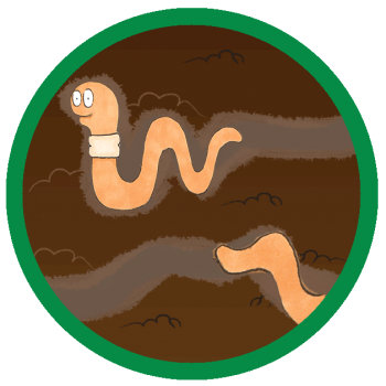 Worms-in-tunnels-circle-green